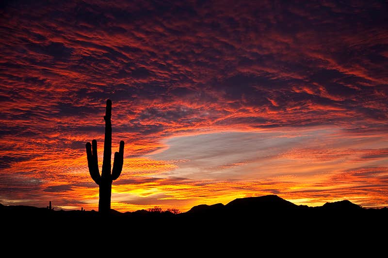Camper-submitted photo at Black Rock RV Village near Salome, AZ