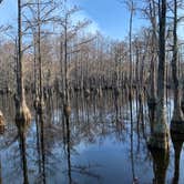 Review photo of George L Smith II State Park Campground by Neil T., March 12, 2021