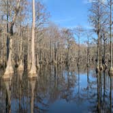 Review photo of George L Smith II State Park Campground by Neil T., March 12, 2021