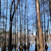 Review photo of George L Smith II State Park Campground by Neil T., March 12, 2021