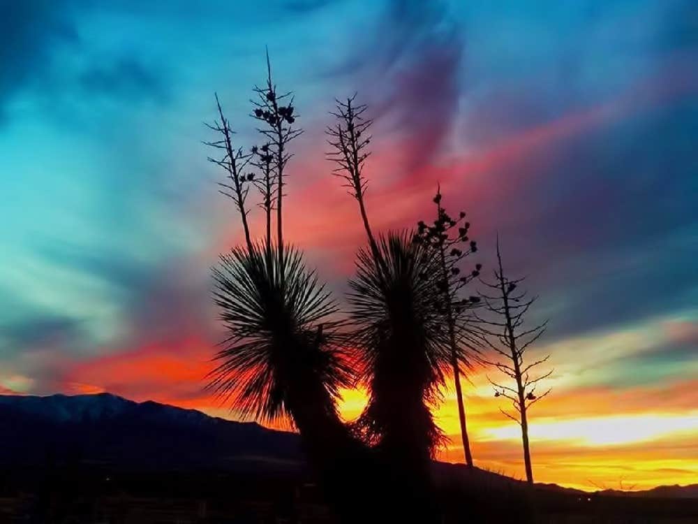 Wagon West RV Park Salome, AZ