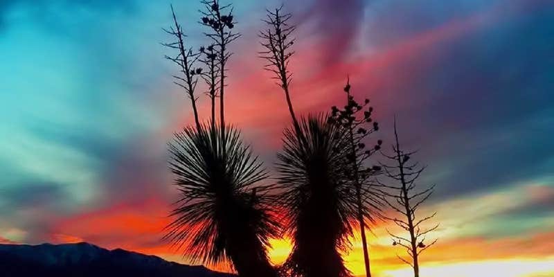 Camper submitted image from Wagon West RV Park