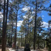 Review photo of Fool Hollow Lake Recreation Area Campground by Melissa S., March 13, 2021