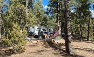 Melissa S.'s photo at Fool Hollow Lake Recreation Area Campground near Show Low, AZ