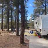 Review photo of Fool Hollow Lake Recreation Area Campground by Melissa S., March 13, 2021