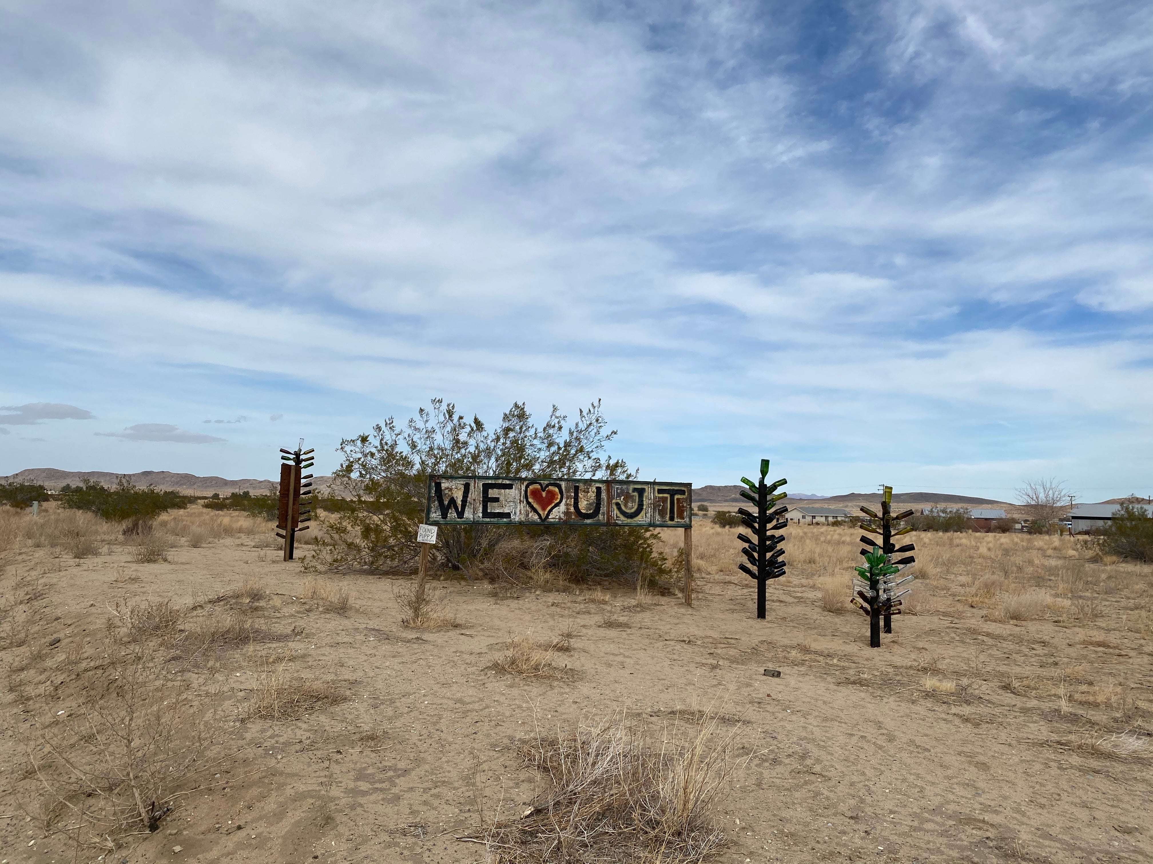 Camper submitted image from Joshua Tree South - BLM Dispersed - 1