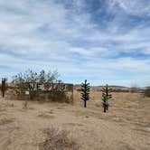 Review photo of Joshua Tree South - BLM Dispersed by J D., March 13, 2021