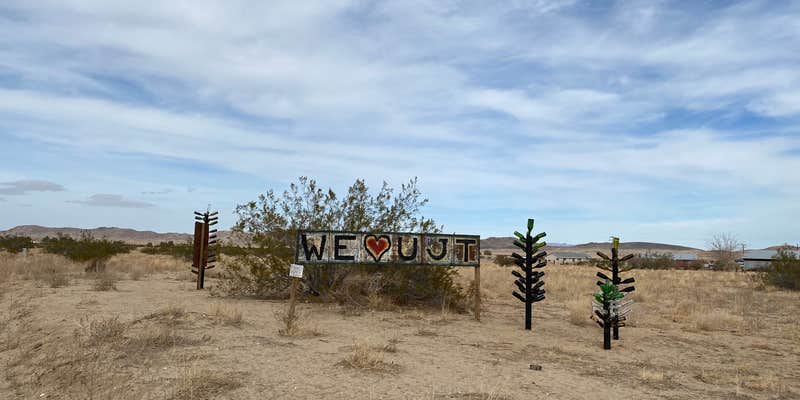 Camper submitted image from Joshua Tree South - BLM Dispersed