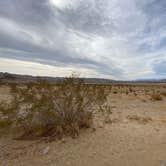 Review photo of Joshua Tree South - BLM Dispersed by J D., March 13, 2021