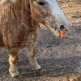 Review photo of Stonewood Farm by Neil T., March 13, 2021