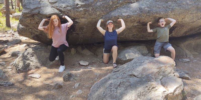 Camper submitted image from Devils Tower KOA