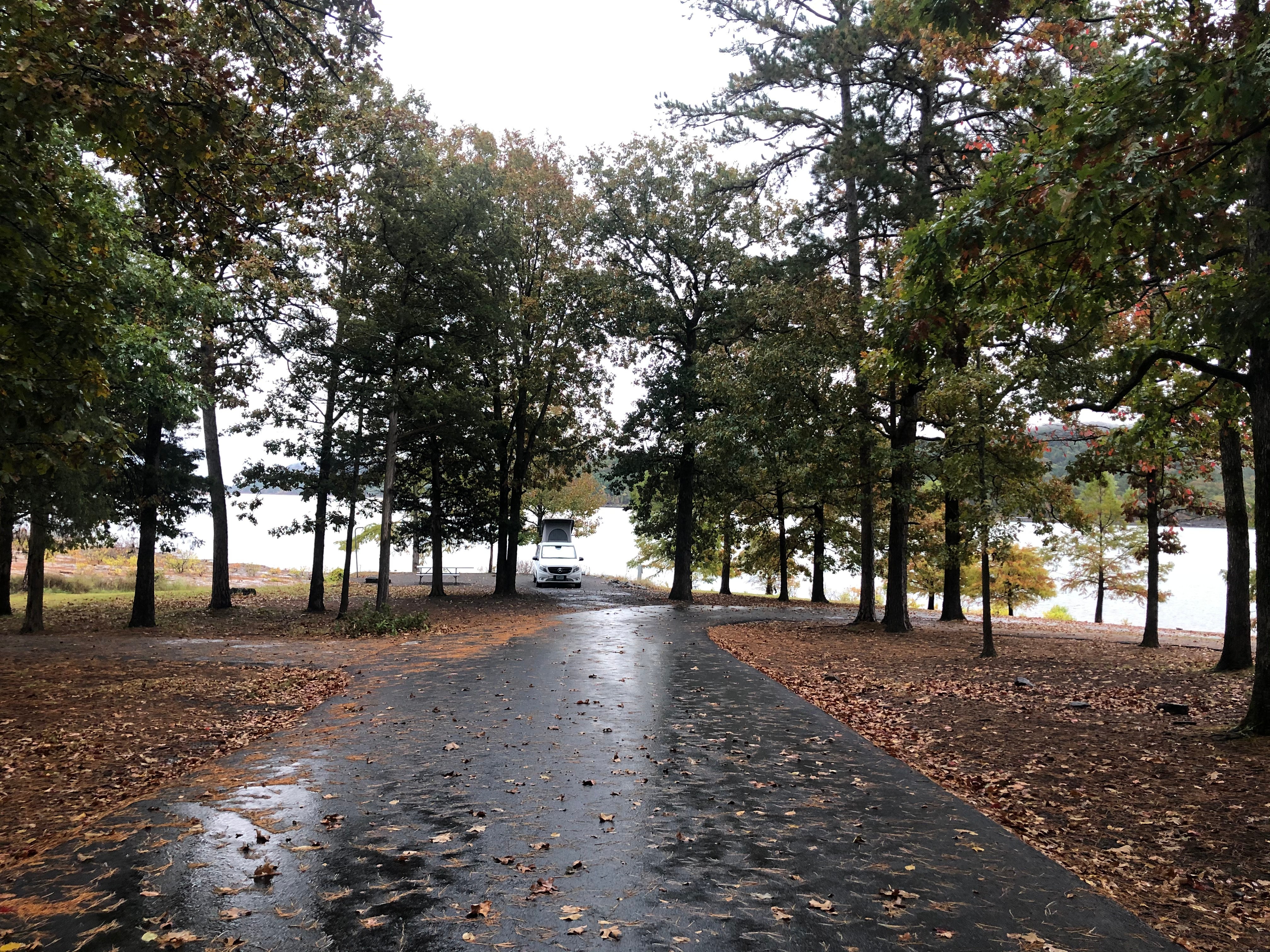 Camper submitted image from COE Greers Ferry Lake Choctaw Recreation Area - 3