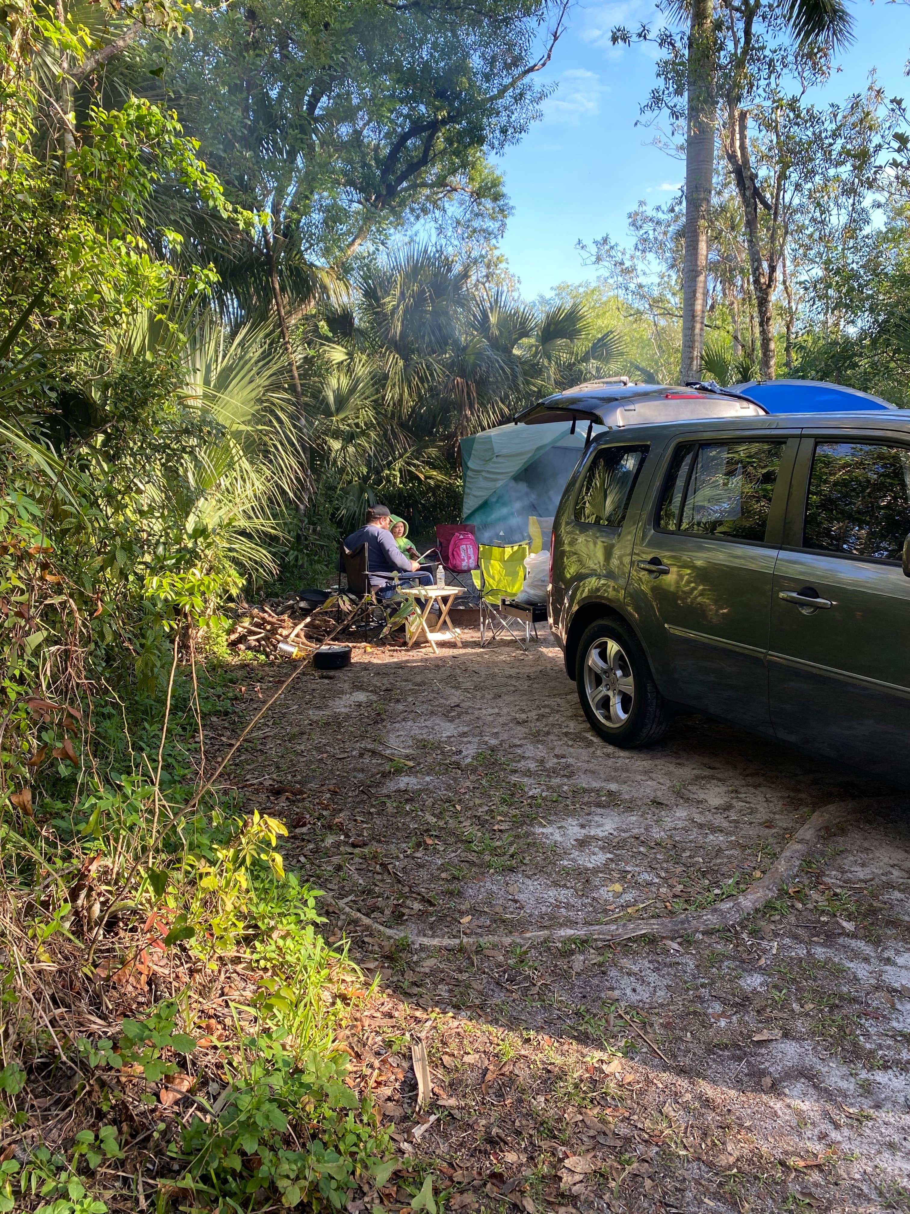 Sarah V.'s photo at Collier–Seminole State Park Campground near Copeland, FL