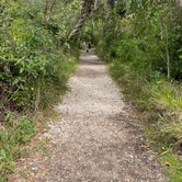 Review photo of Collier–Seminole State Park by Sarah V., March 14, 2021