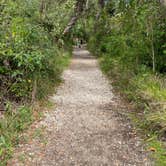 Review photo of Collier-Seminole State Park by Sarah V., March 14, 2021