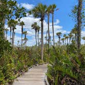 Review photo of Collier-Seminole State Park by Sarah V., March 14, 2021