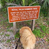 Review photo of Collier-Seminole State Park by Sarah V., March 14, 2021