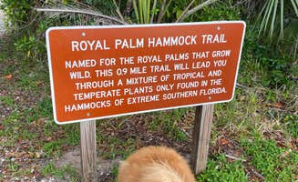 Sarah V.'s photo of camping with pets at Collier–Seminole State Park Campground near Marco Island, FL