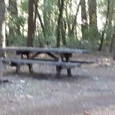 Review photo of Redwood Campground — Standish-Hickey State Recreation Area by Deleting App D., March 14, 2021