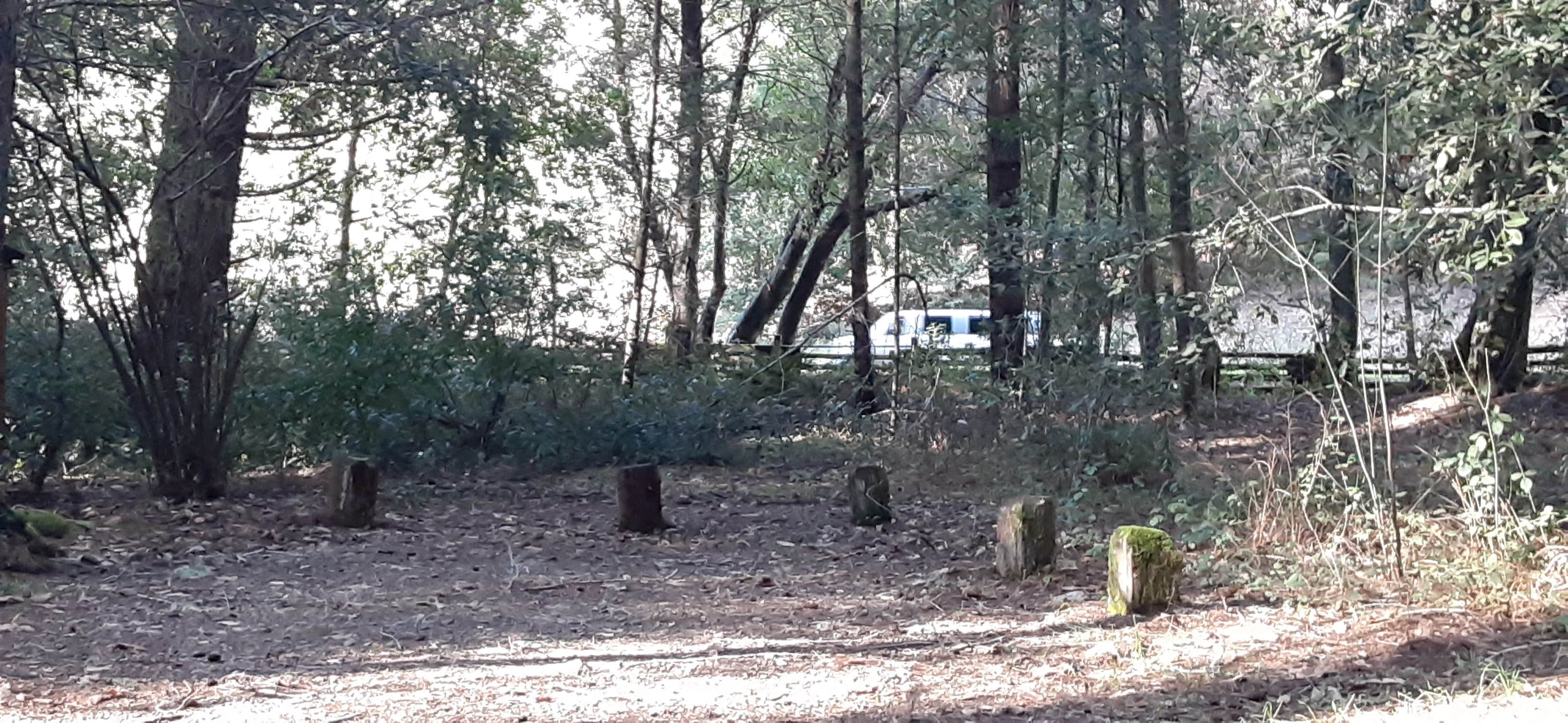 Camper submitted image from Redwood Campground — Standish-Hickey State Recreation Area - 5