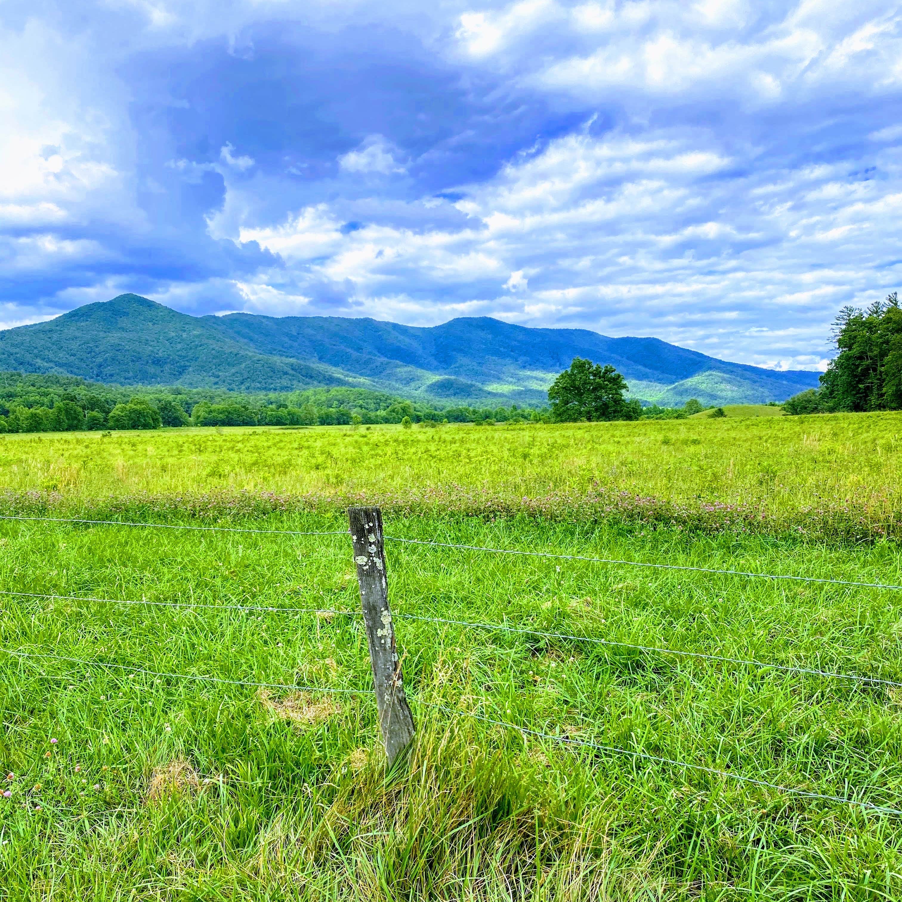 Cades Cove Campground