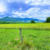 Review photo of Cades Cove Campground by Sarah V., March 14, 2021