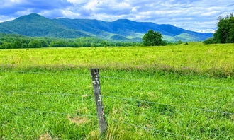 Camping near Top of the World : Cades Cove Campground, Townsend, Tennessee