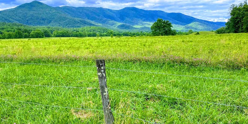 Camper submitted image from Cades Cove Campground