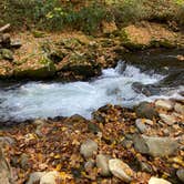 Review photo of Smokemont Campground — Great Smoky Mountains National Park by Sarah V., March 14, 2021