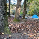 Review photo of Smokemont Campground — Great Smoky Mountains National Park by Sarah V., March 14, 2021