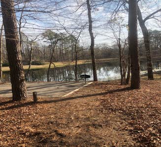 Camper-submitted photo from Town Creek Campground - West Point - MS