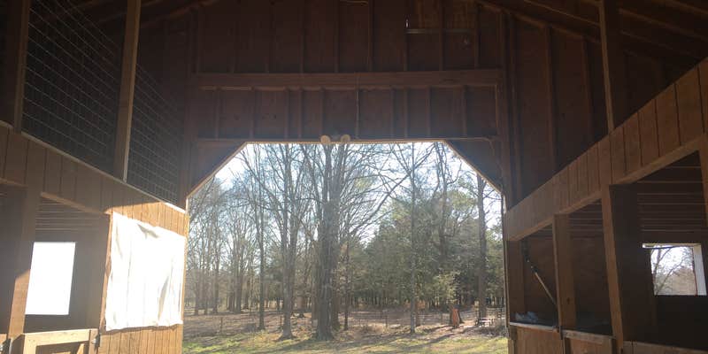 Camper submitted image from Cool Creek Farm