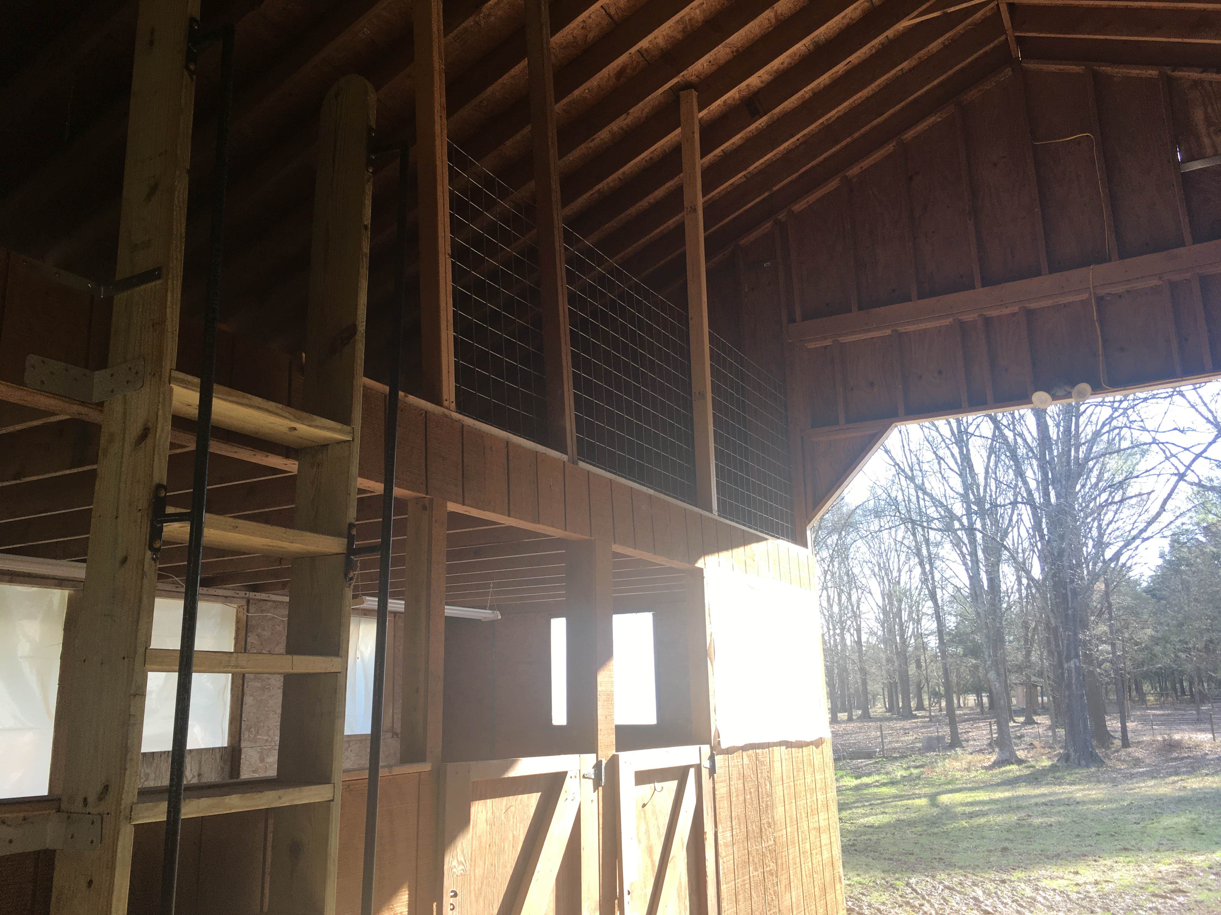 Camper-submitted photo at Cool Creek Farm near Saxapahaw, NC