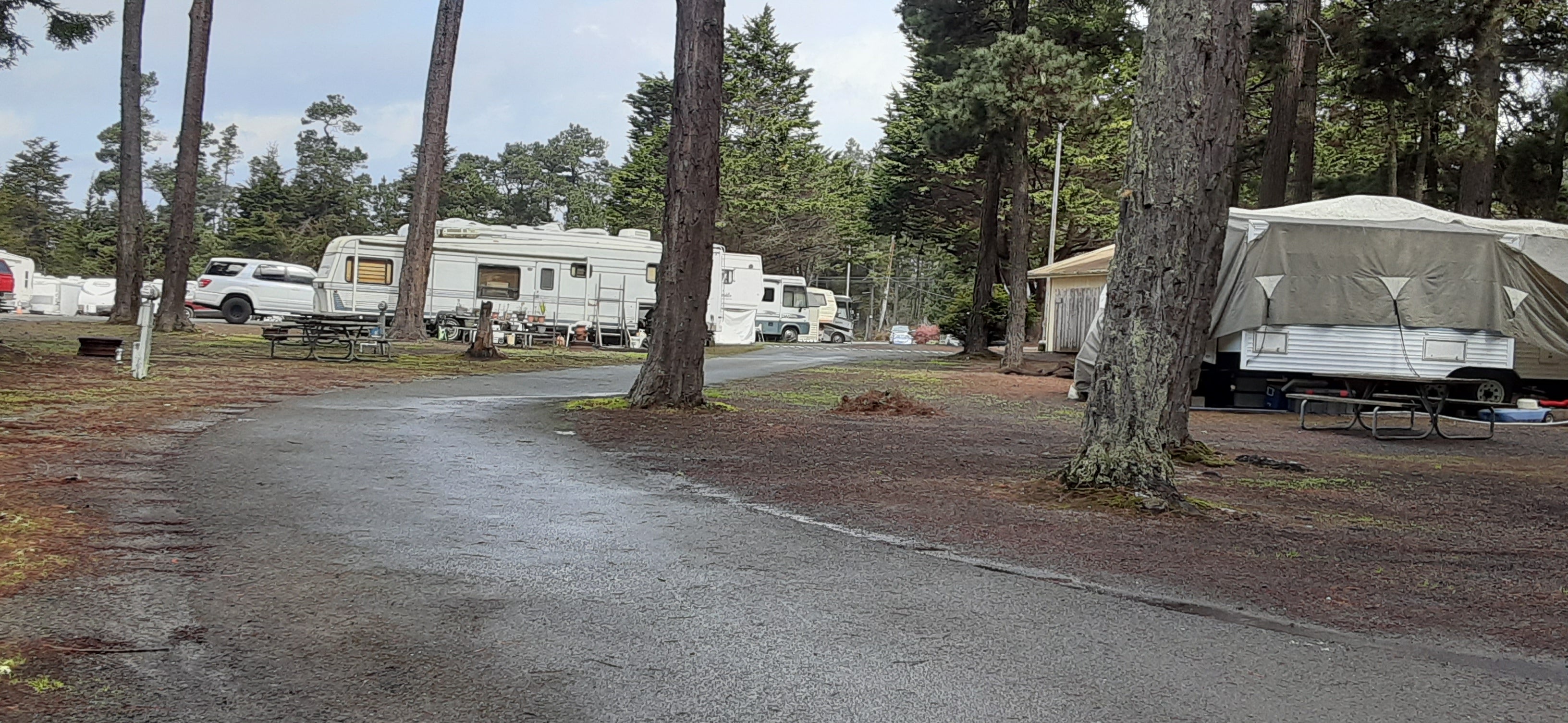 Camper submitted image from Leisure Time RV Park - 5