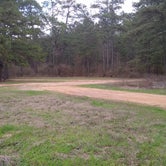 Review photo of Shell Oil Road Hunter Camp by Marguerite , March 14, 2021