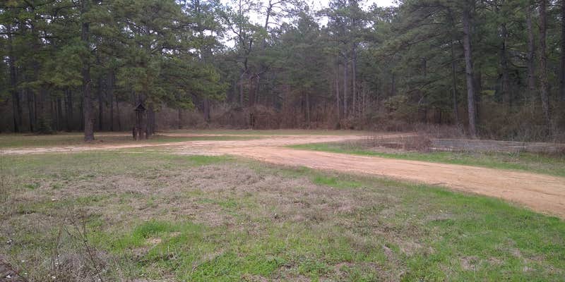 Camper submitted image from Shell Oil Road Hunter Camp