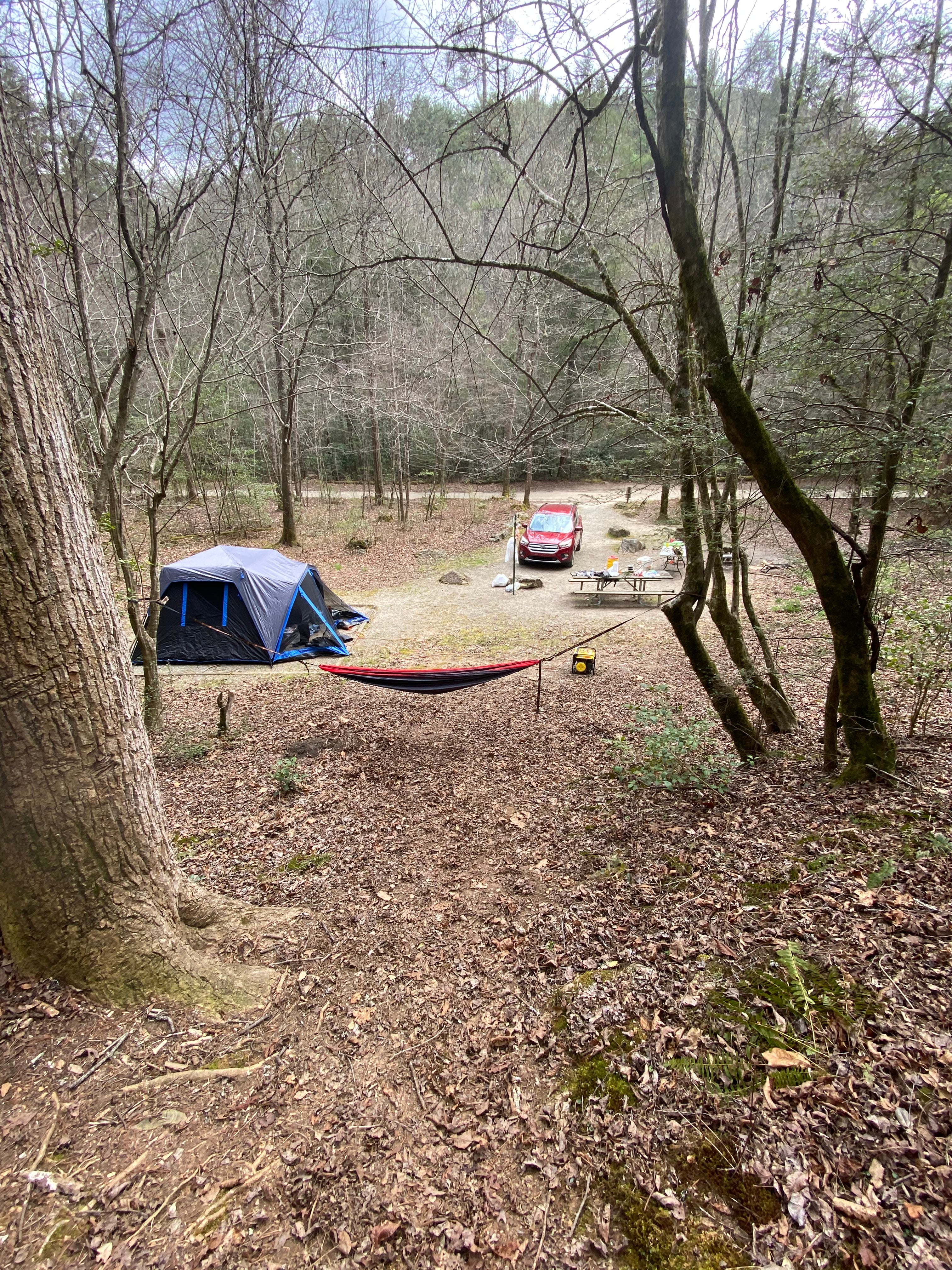 Camper submitted image from Cooper Creek - 1