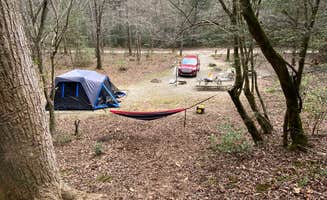 Justin B.'s photo at Cooper Creek near Blairsville, GA
