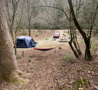 Camper-submitted photo from Cooper Creek