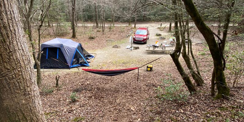 Camper submitted image from Cooper Creek