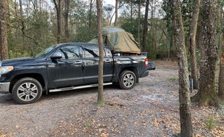 Camper-submitted photo from Tuck in the Wood Campground