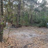 Review photo of Tuck in the Wood Campground by Neil T., March 14, 2021