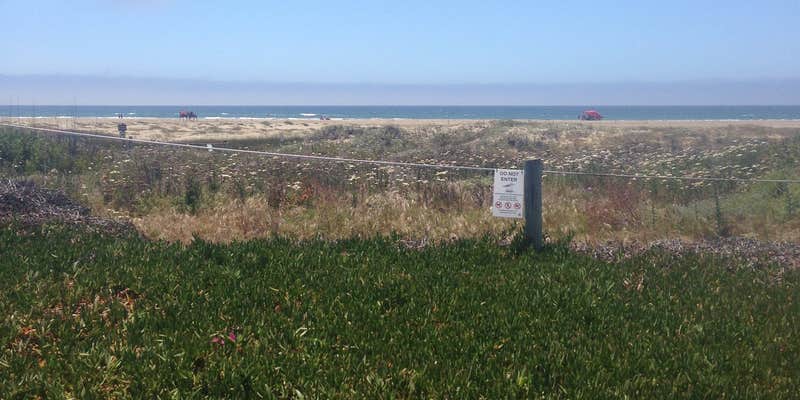 Camper submitted image from Morro Strand State Beach Campground