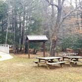 Review photo of Blue Jay Campground — Camp Creek State Park by Katrin M., March 14, 2021