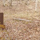 Review photo of Blue Jay Campground — Camp Creek State Park by Katrin M., March 14, 2021