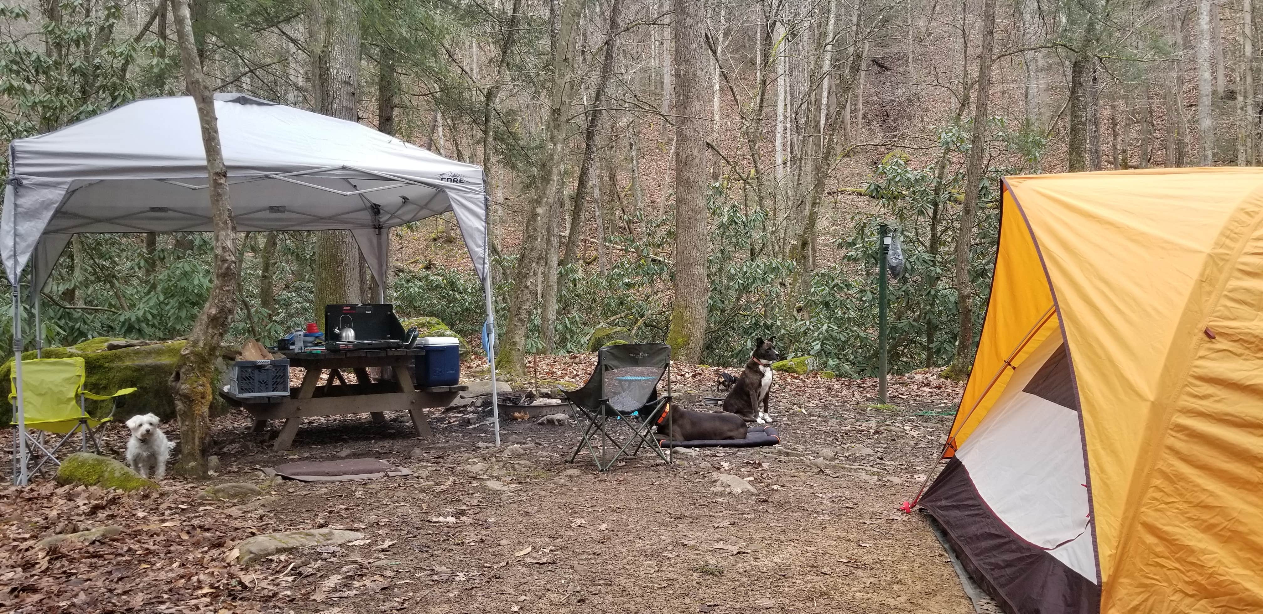 Katrin M.'s photo at Blue Jay Campground — Camp Creek State Park near Herndon, WV