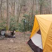 Review photo of Blue Jay Campground — Camp Creek State Park by Katrin M., March 14, 2021