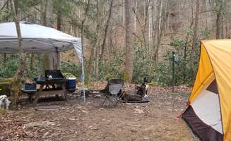 Katrin M.'s photo at Blue Jay Campground — Camp Creek State Park near R.D. Bailey Lake