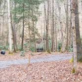 Review photo of Blue Jay Campground — Camp Creek State Park by Katrin M., March 14, 2021