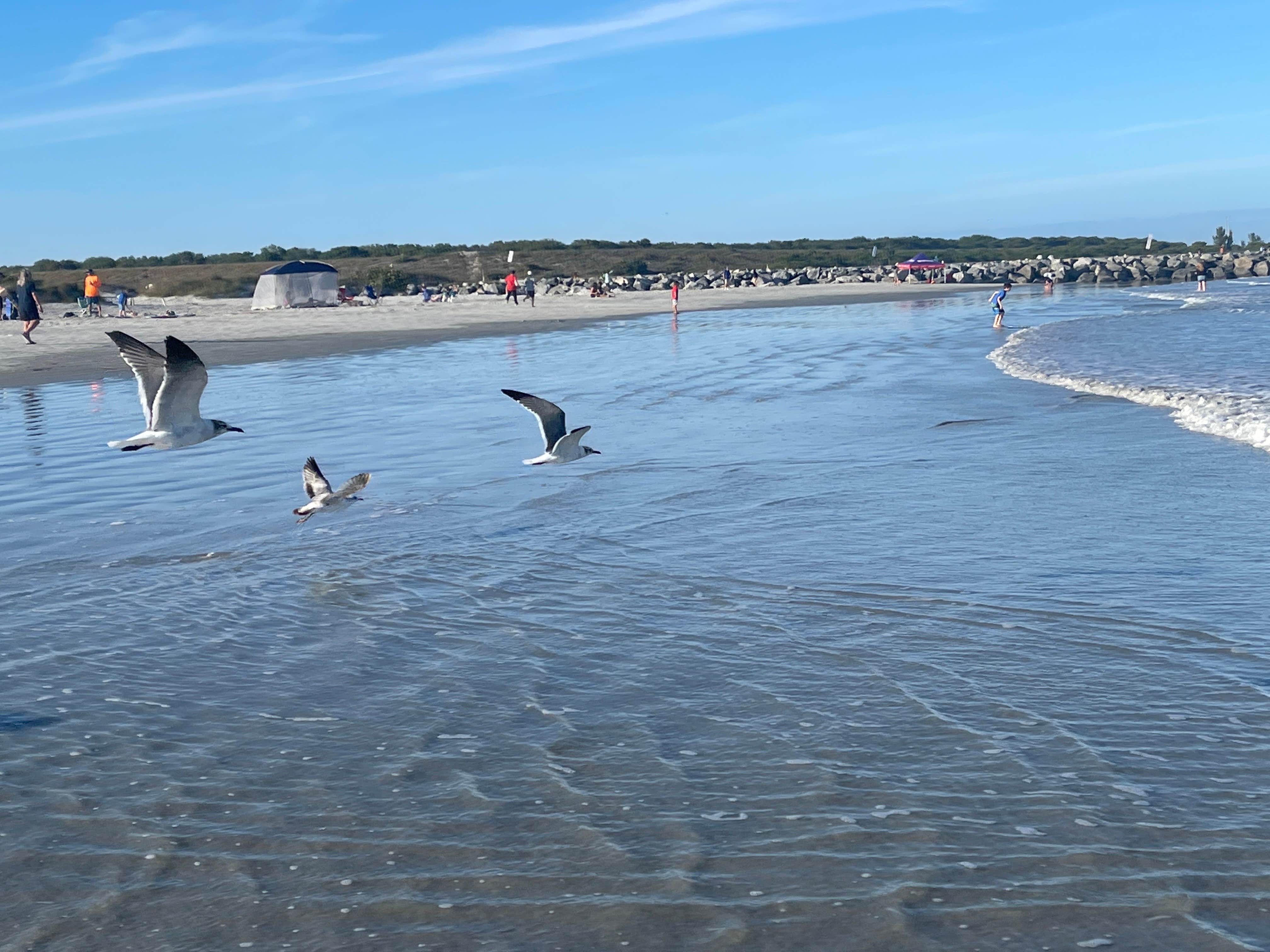 Camper-submitted photo at Jetty Park Canaveral Port Auth near Cape Canaveral, FL